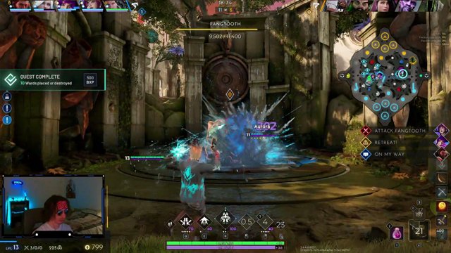 Pinzo live stream