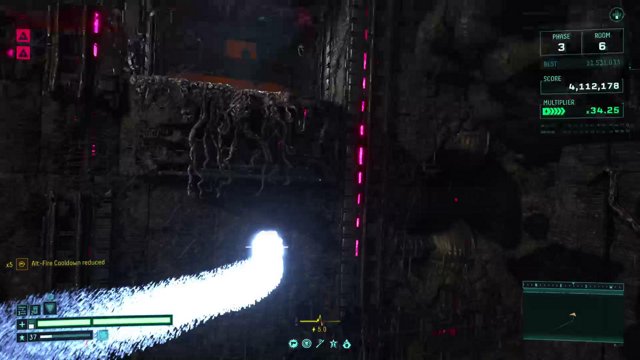 player138611187 live stream