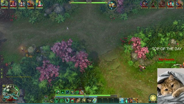 playlikemepewpew live stream