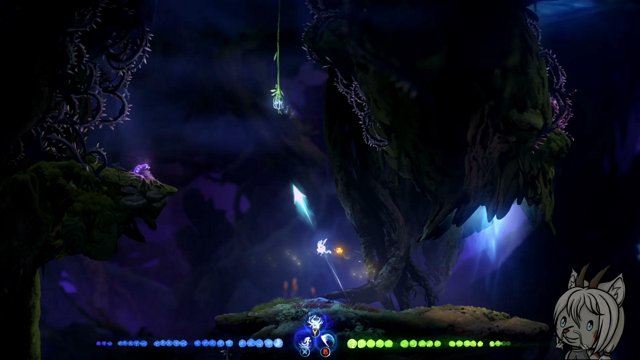 RFurwing live stream