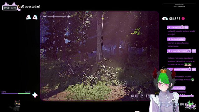 Sefionn live stream