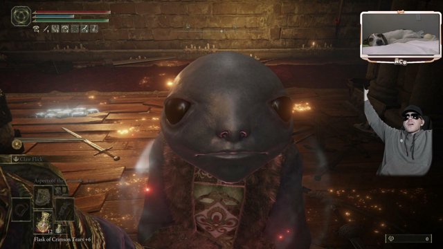 shruumbiius live stream