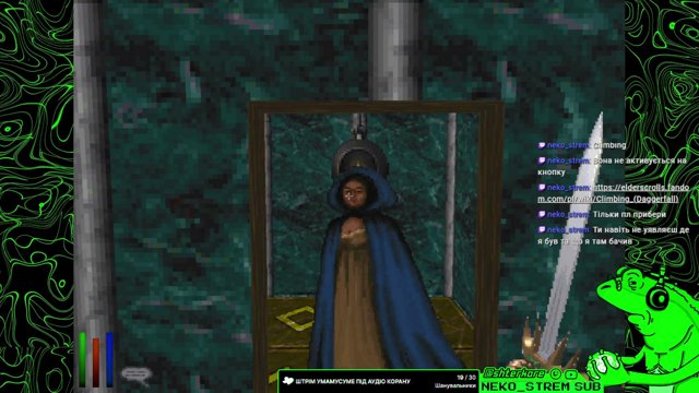 shterkore live stream