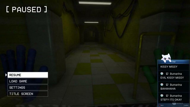 stefycom0 live stream