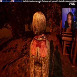 StephNotCurryCo
