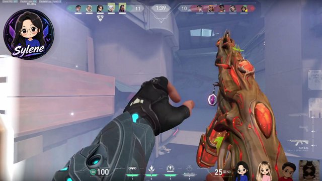 sylene04 live stream