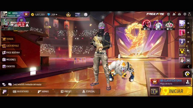 t_borja live stream