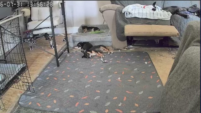 therealkara74 live stream