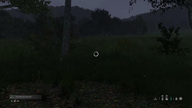 TheRunningManZ live stream