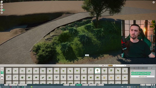 Tommassss live stream