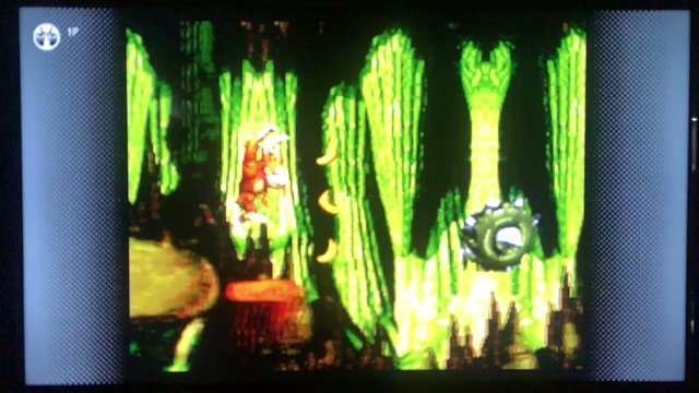 キツツキさん live stream