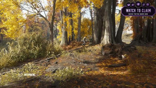 Vombuz live stream