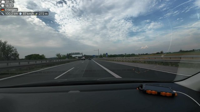 whiteydude live stream