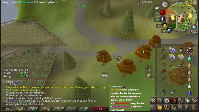 Widega_ live stream