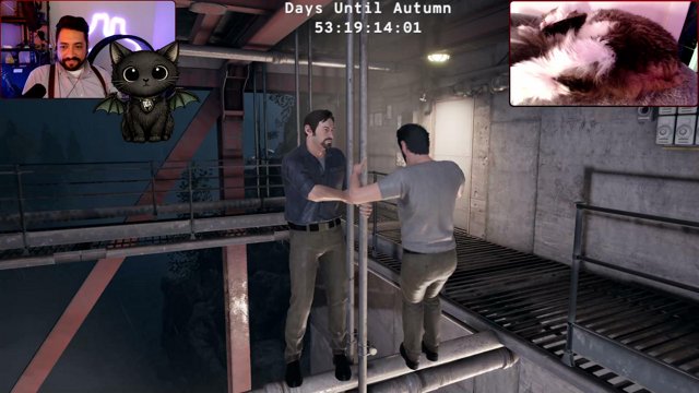 Xanture live stream