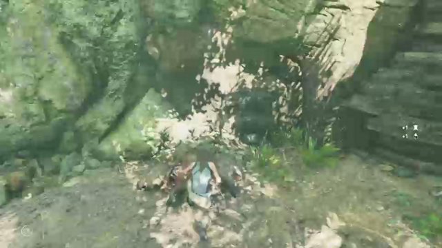 y19li live stream