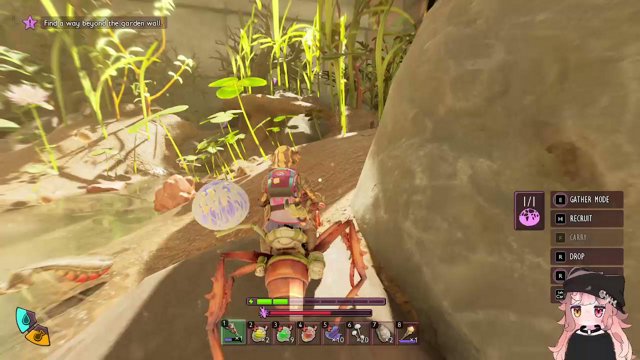 z0zum live stream
