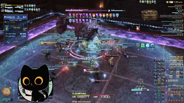 Zalkel live stream