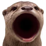 ottr