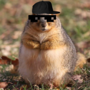 chunksterchunkus