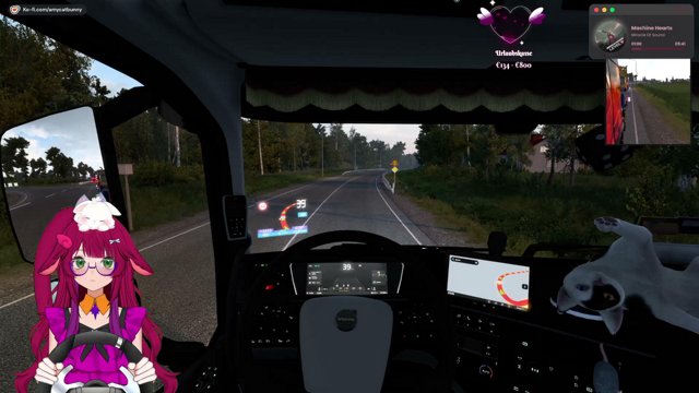 AmyCatbunny live stream