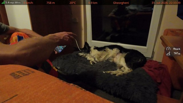 ApeOnWay live stream