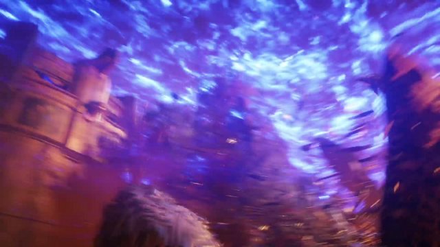 ArcRyzen live stream