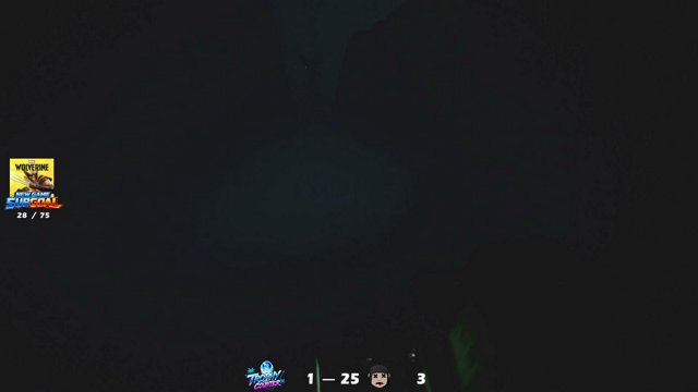 AussieFezz live stream