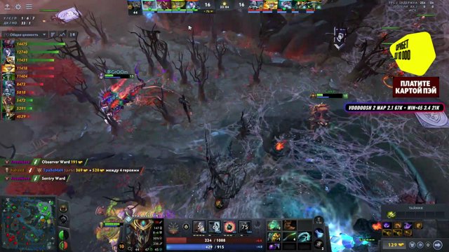 avice live stream