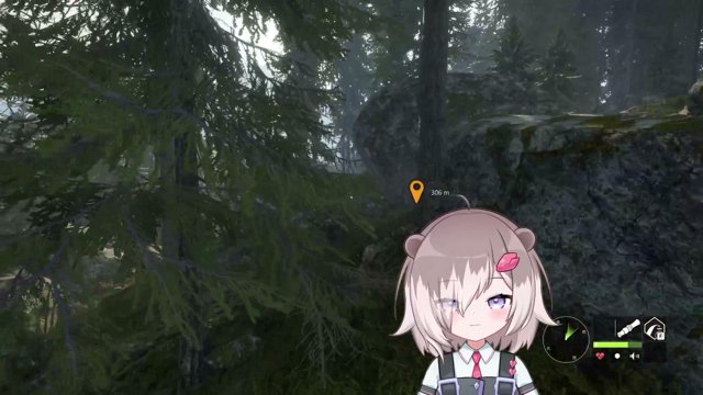 泡川うそ live stream