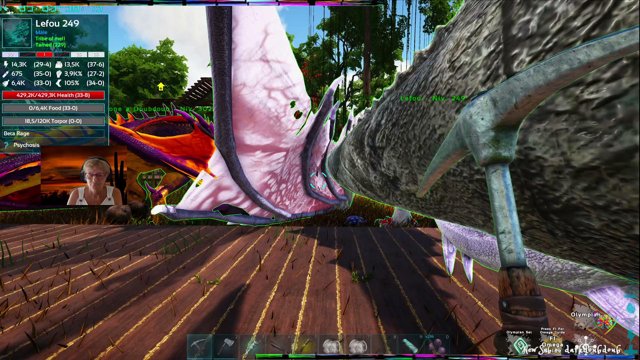 bibliothecaire live stream