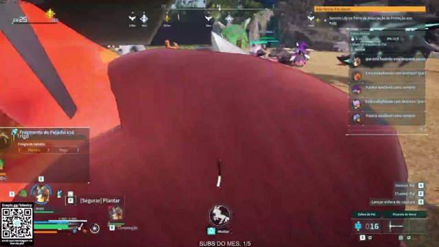 biieelrp live stream