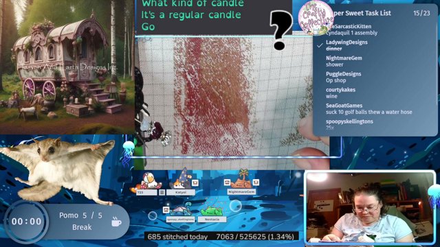 blueyedkat81 live stream