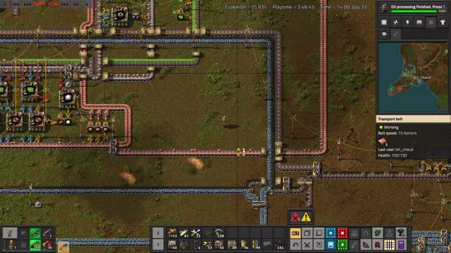 brl_chacal live stream