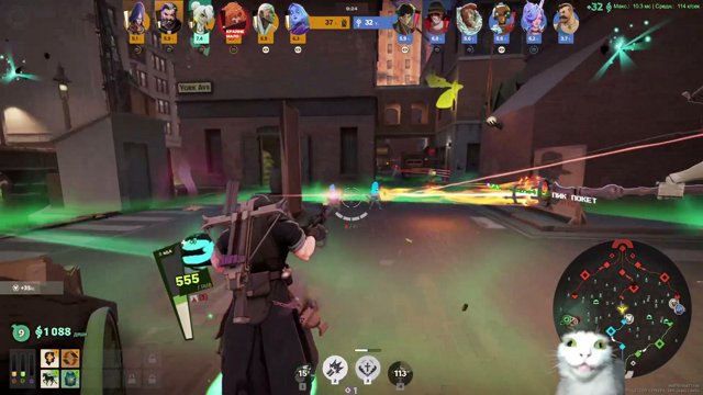 Bubamaster live stream