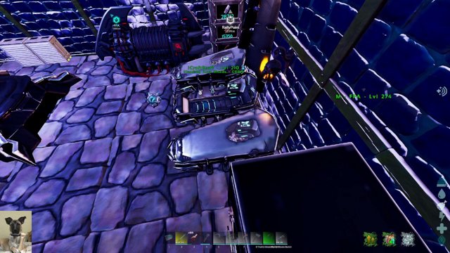 callmeeeyore live stream