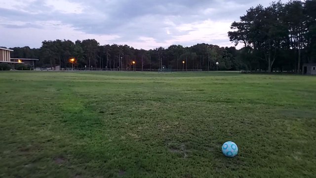 carlastop live stream