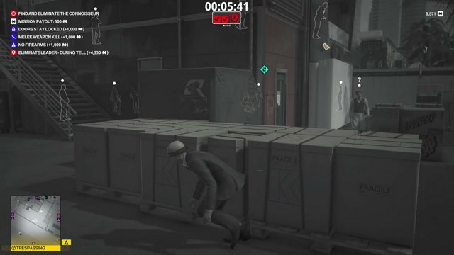 Celllie live stream