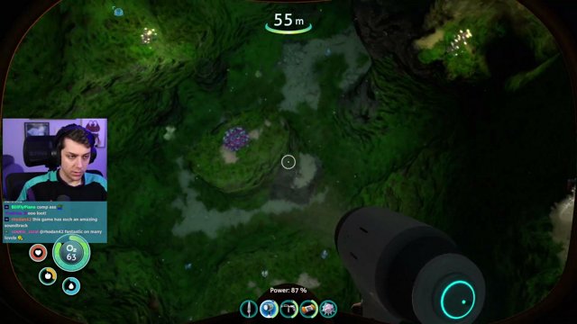 cjya live stream