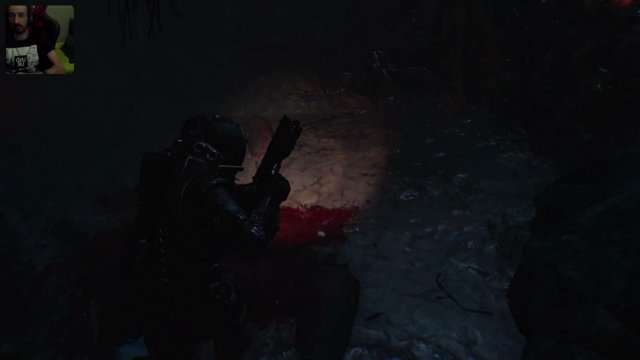 cutolo live stream