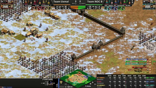 Daniela_AoE live stream