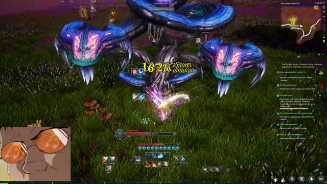 Dauntist live stream