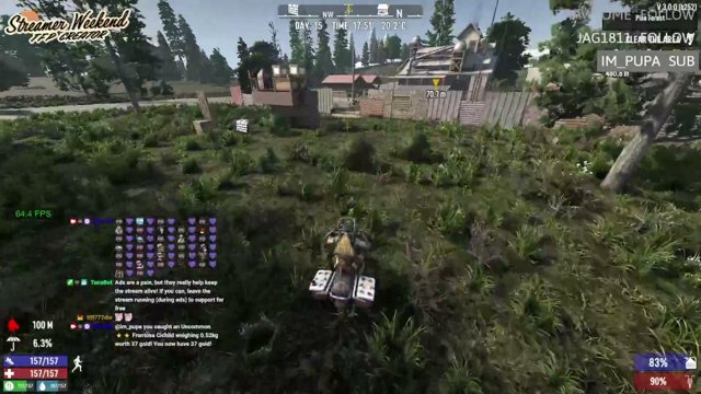 DD1GG live stream