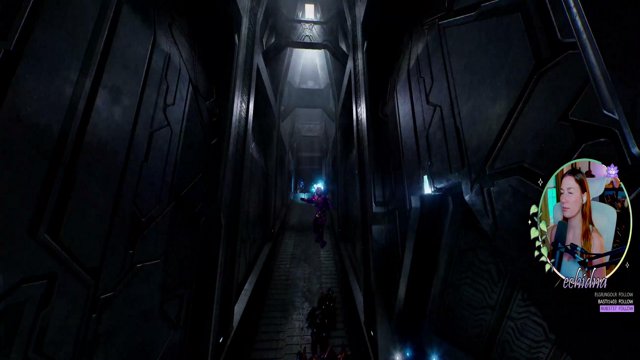 echidna live stream