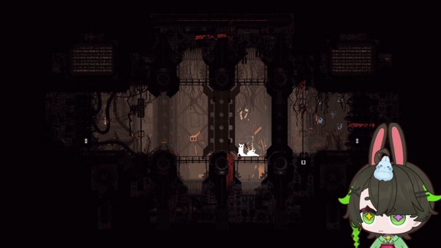 EvaKite live stream