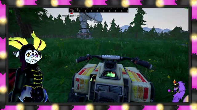 Finomz live stream