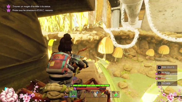 Foxiyaa live stream