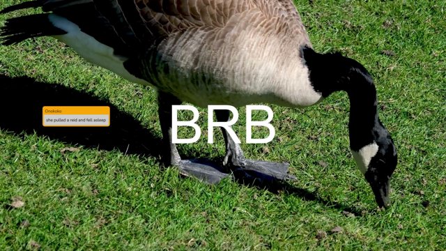 goosie0809 live stream