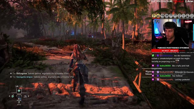 Grozniak live stream