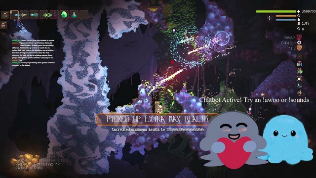 hamperchamp live stream